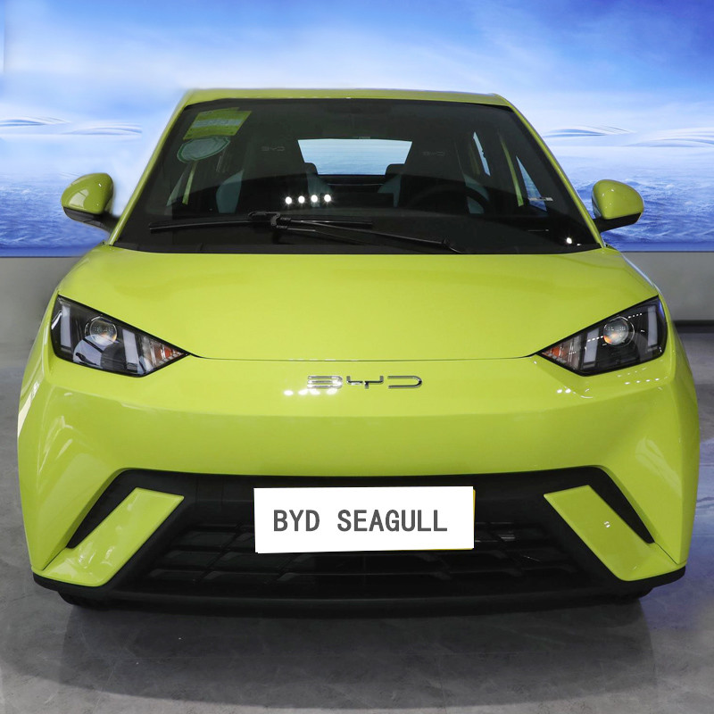 2024 China New Energy Vehicles Pure BYD Flying 405km Seagull EV Electric Car