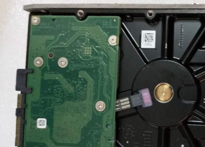 1 Year Warranty IBM Hard Disk 49Y1876 49Y1880 1TB SAS 7.2K 3.5 Inch DS3512 DS3500