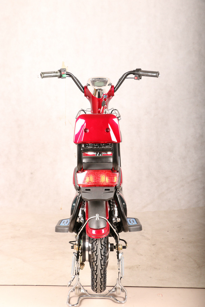Lady And Child Style Battery Assisted Pedal Cycles With Two Seats