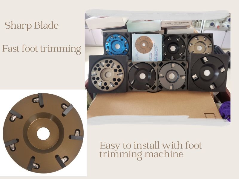 Cattle use Hoof Trimming Disk