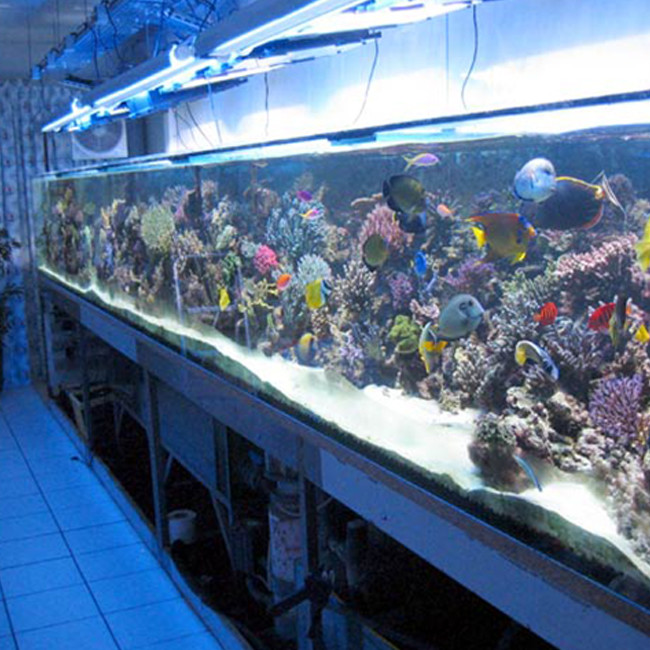 6mm 3mm Clear 93% Acrylic Sheet Aquarium Board For Swimming Pool