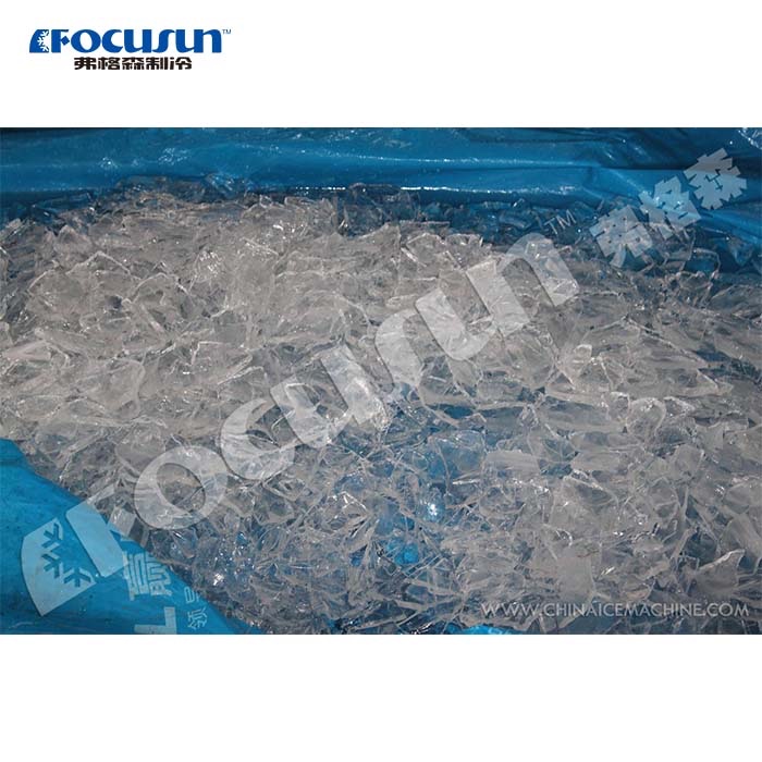 Video Outgoing-Inspection Provided Small Capacity Plate Ice Machine 1200 KG