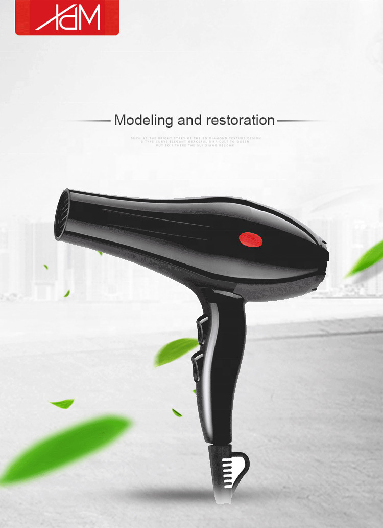 Negative Ionic Professional Hair Dryer Black Color 2000W Power