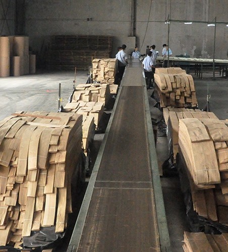Grain Crotch Natural Wood Veneer Sheets Quarter Cut American Walnut