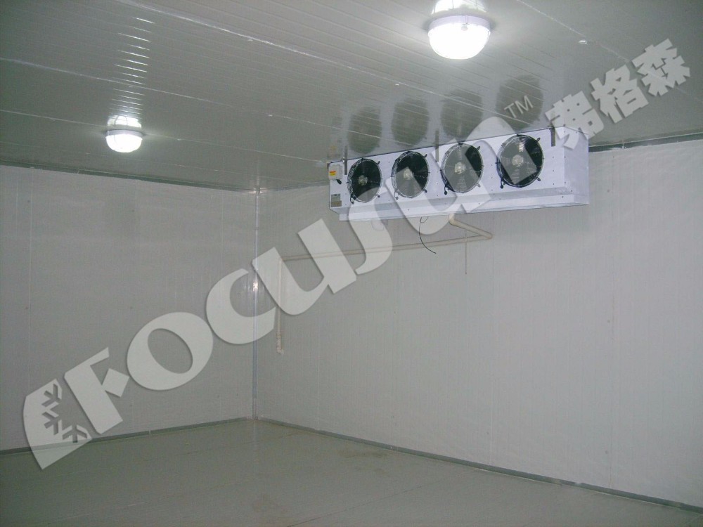 Cold Room Freezer for Vegetables Fruit Meat And Seafood