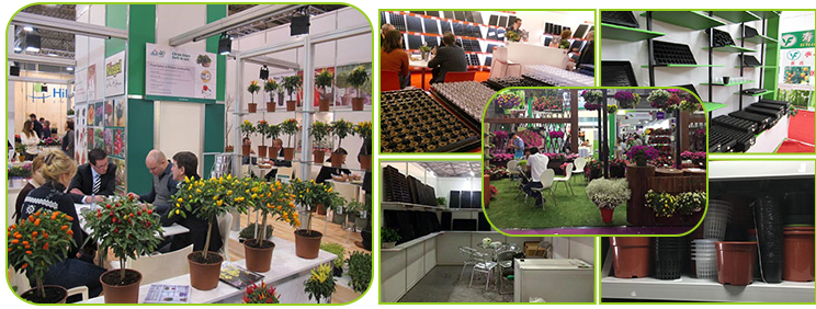 HDPE material black plastic root control pots for Spruce