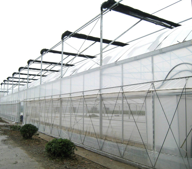 Waste Disposal Insect Mesh Netting Easywash 0.8 * 0.8mm For Horizontal Shed