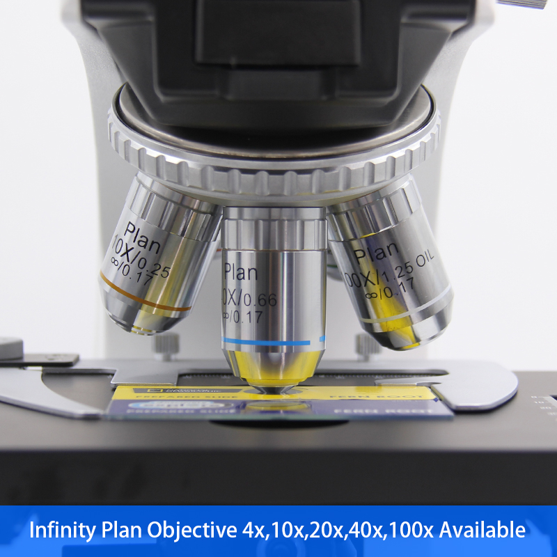 Laboratory Compound Optical Microscope 1000x