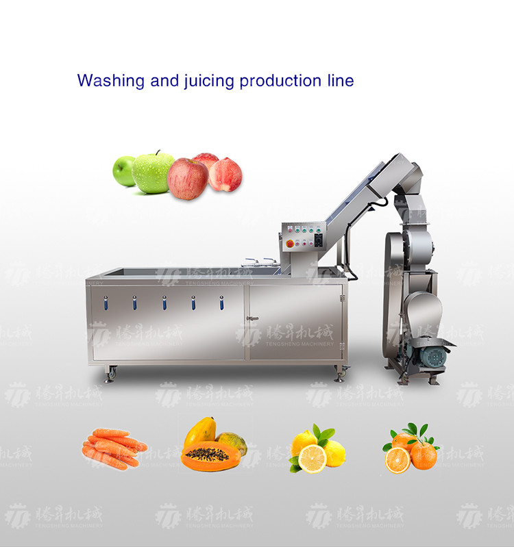 Commercial 2.6KW Fruit And Vegetable Processing Line Bubble Cleaning Juicing Machine