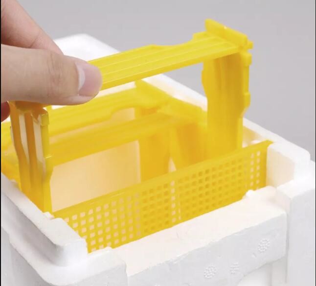 Beekeeping Tool Double Layer Foam Bee Mating Breeding Box Equipment For Bee Mating