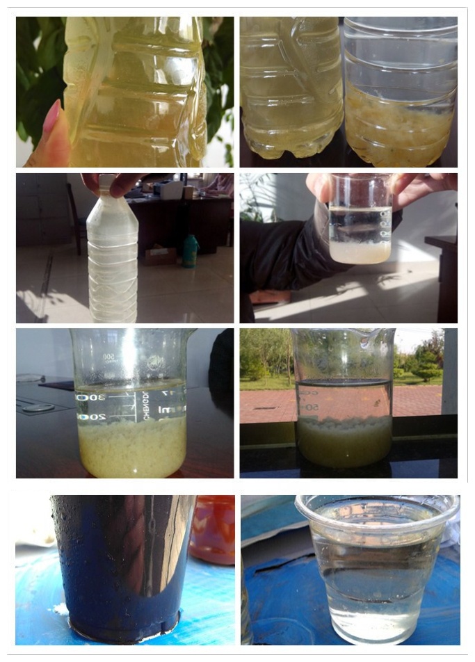 Industrial Wastewater Sewage Treatment Equipment with Automatic Purification Function
