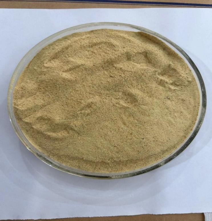 Light Yellow Beer Yeast Powder Feed Additives With High Real Protein