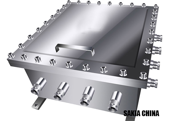 Hazardous Area IP65 Large Size Stainless Steel Explosion Proof DVR Box