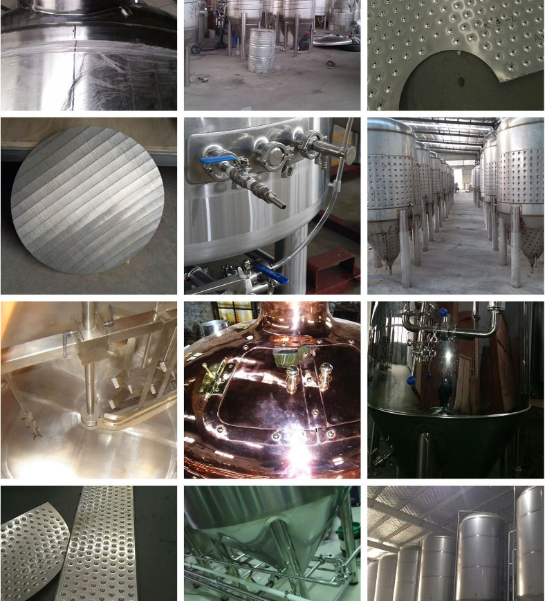 Processing Fermenting Equipment with Semi-Automatic Control System GSTA 100L Whole Set