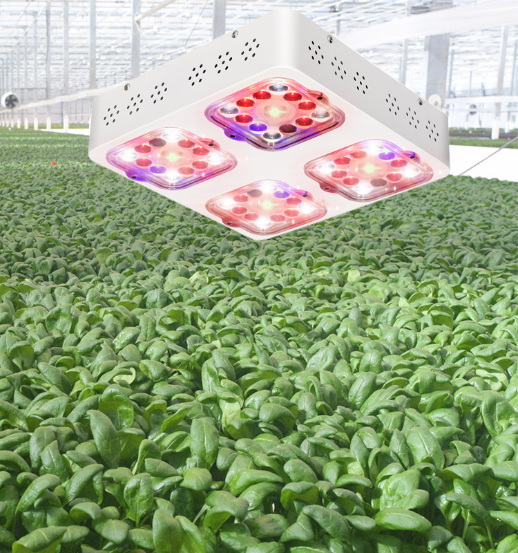 PMMA Optics SMD3030 P120 120W Led Plant Grow Light