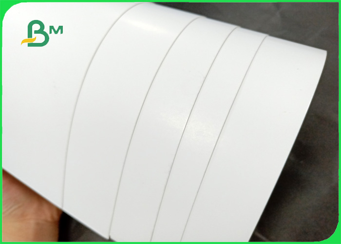 160gsm 300gsm Ivory board with food grade PE oil resistance for lunch box