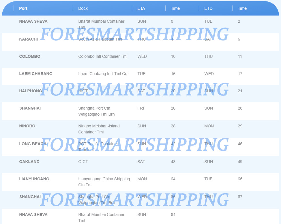 20FT 40FT 40HQ LCL Sea Freight Shipping To USA From China