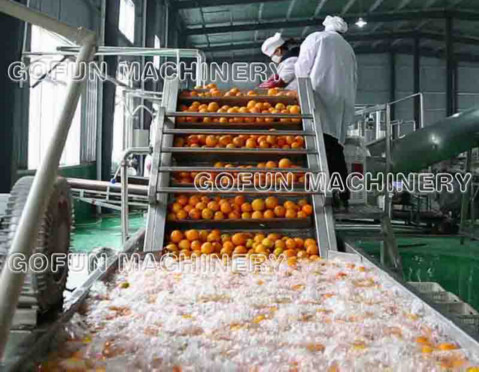 SS306 Complete Tomato Processing Line High Efficiency 1500T/D