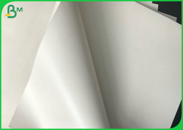 PE Coated 200G 250G 300G 350G Folding Box Board White Cardboard for Food Box