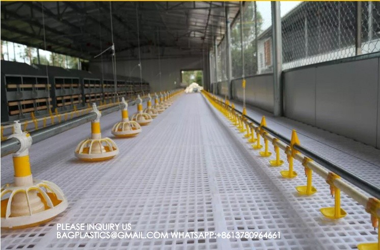 Agricultural Products Automatic Chicken Feeder Agricultural Greenhouses Animals Feeder