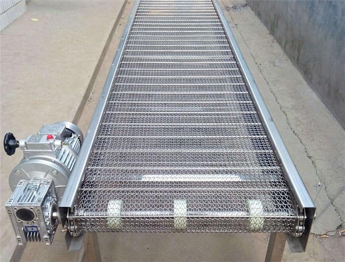 Nuts / Cookies Stainless Steel Compound Balanced Conveyor Belt Sale