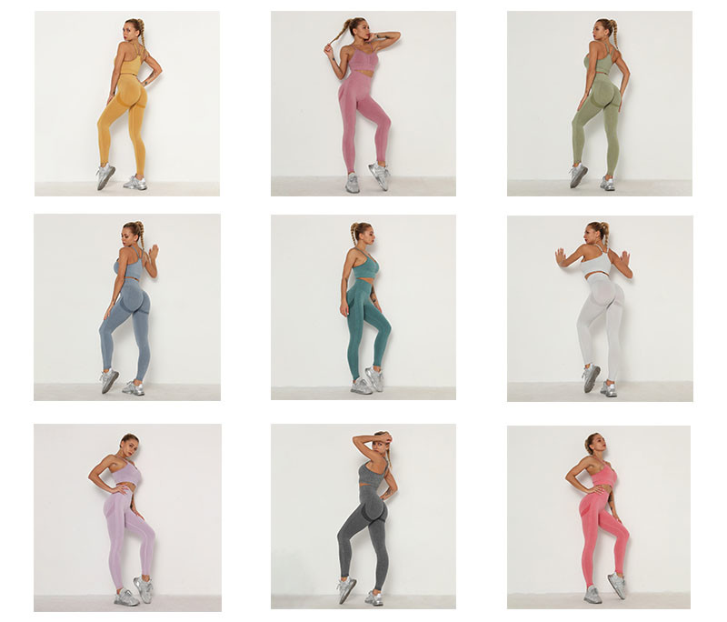 Seamless Yoga Workout Clothes Compression 2 Piece Set Hip Lifting Leggings Crop Top