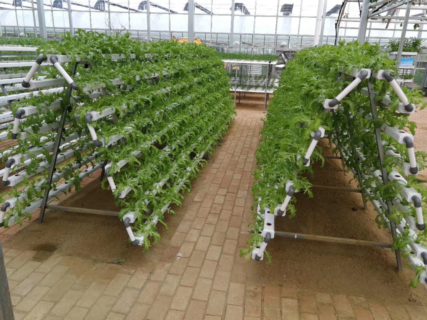 100mm*50mm Eco-friendly Plastic Tube for Hydroponic Vegetable Cultivation in Aquaponics