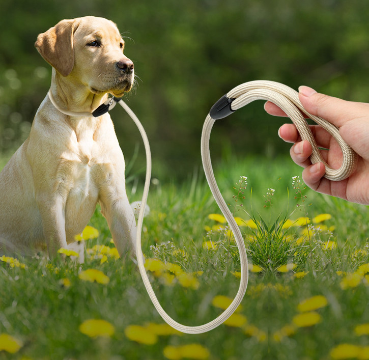 best anti pull dog lead