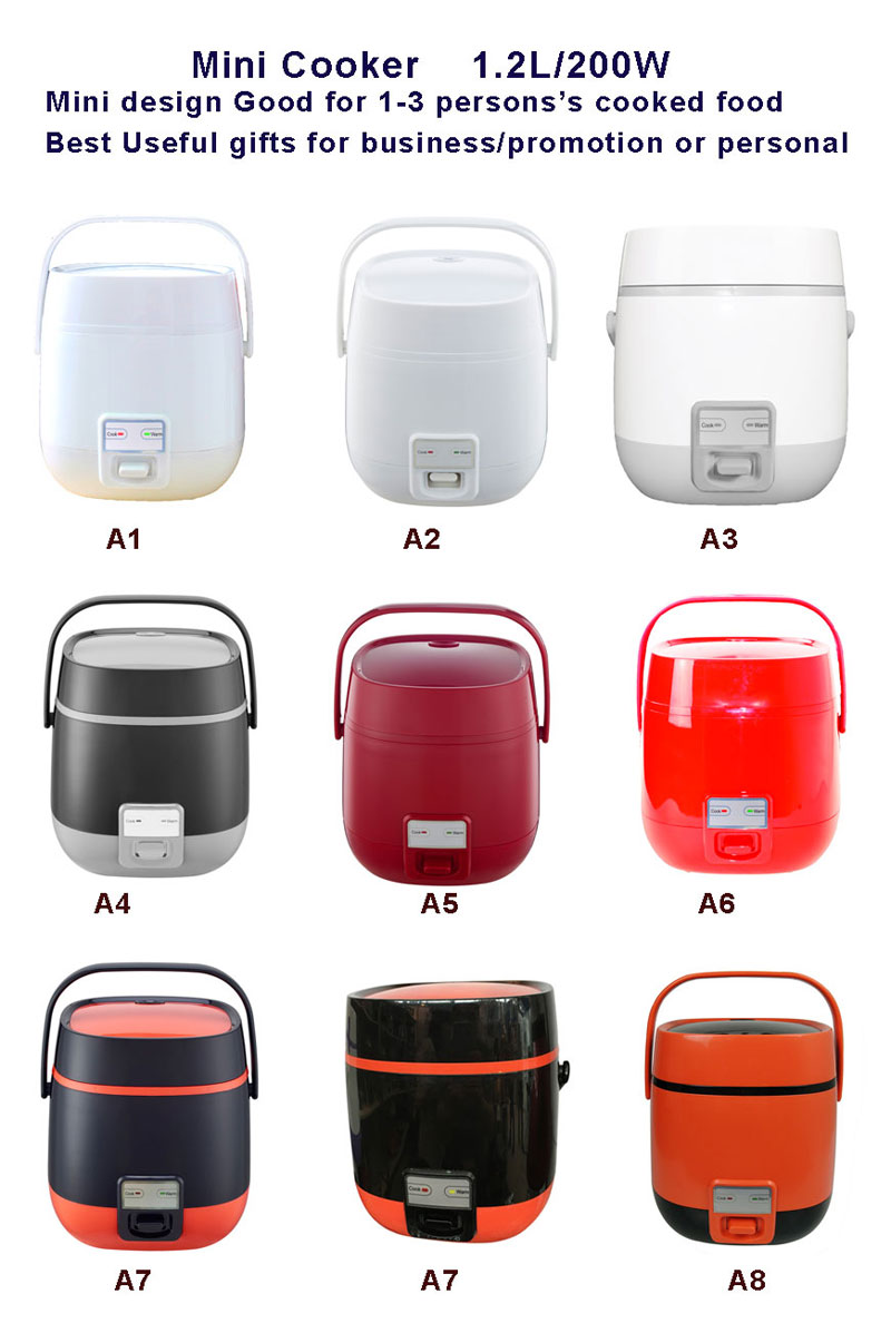 mini cooker a.jpg