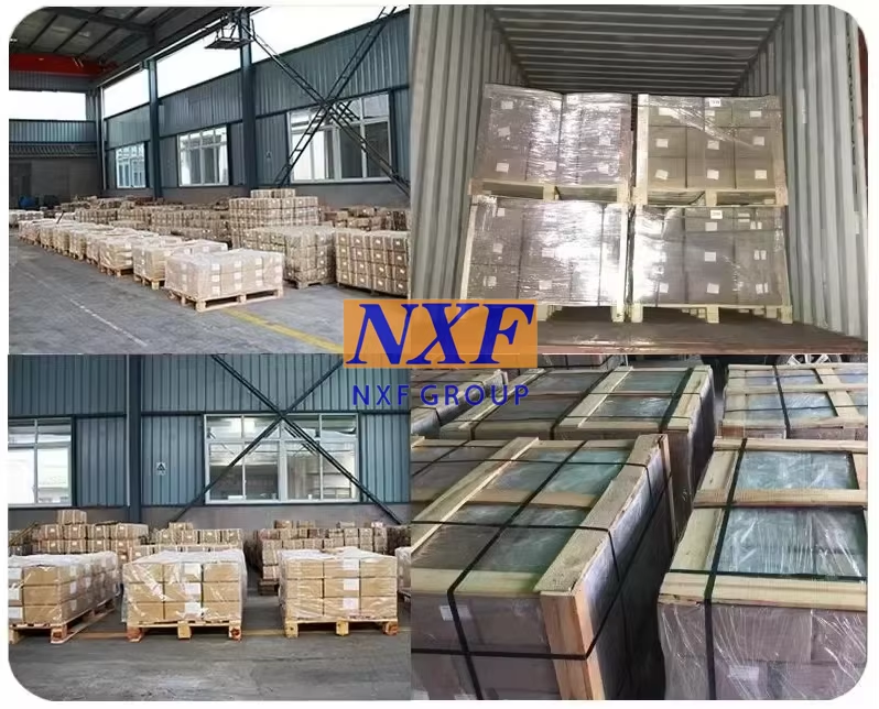 NXF DN 25-600 316/0Cr17Ni12Mo2/1.4401 Stainless Steel Pipe Fitting Flanged Type Flexible Reducing Rubber Expansion Joint