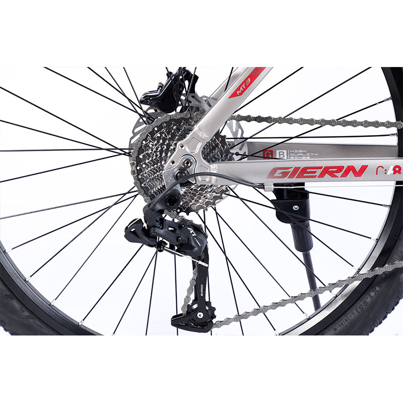 Alloy Frame Inner Cable Custom 26/27.5/29 Inch Bicicleta Mountain Bike 30 Speed Gears