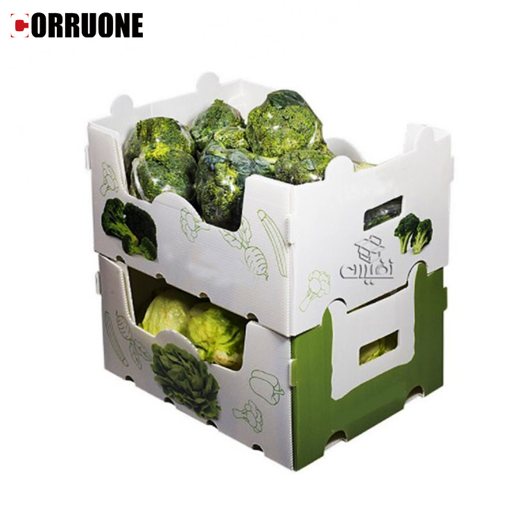 PP/PE plastic box for Fruits and vegetables