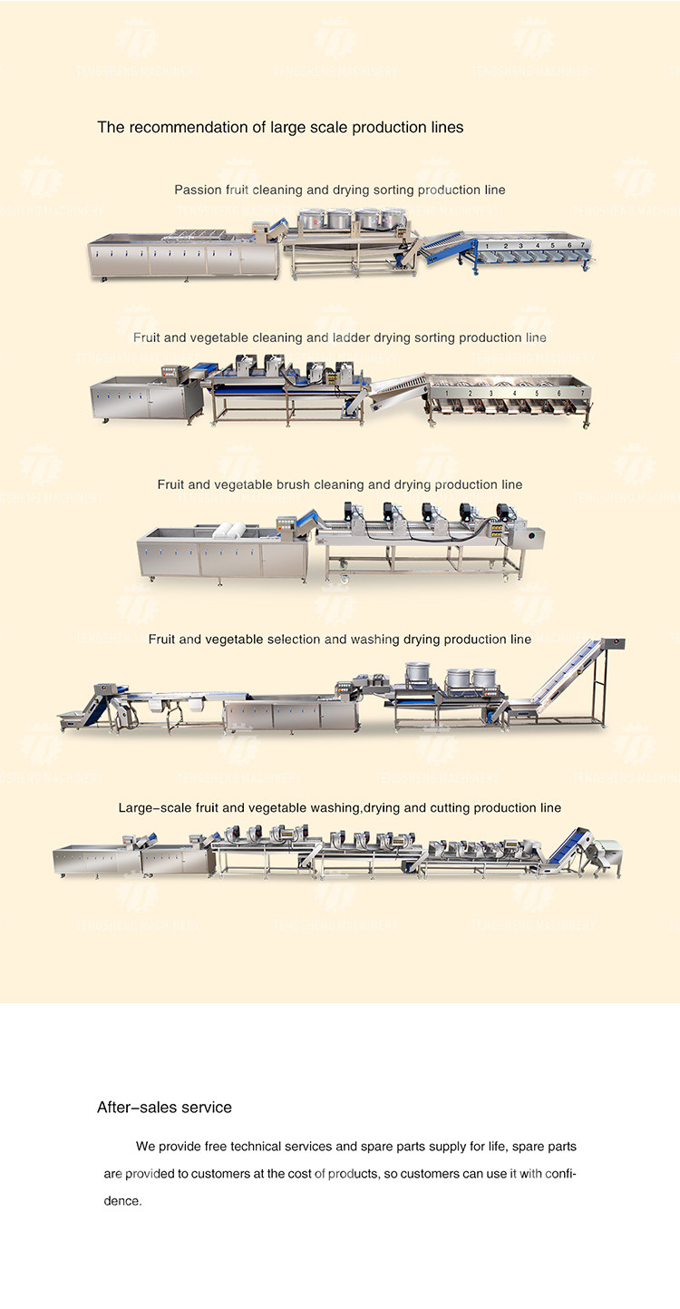 350KG Vegetable drain air drying machine stainless steel fruit and vegetable air drying complete equipment parallel type