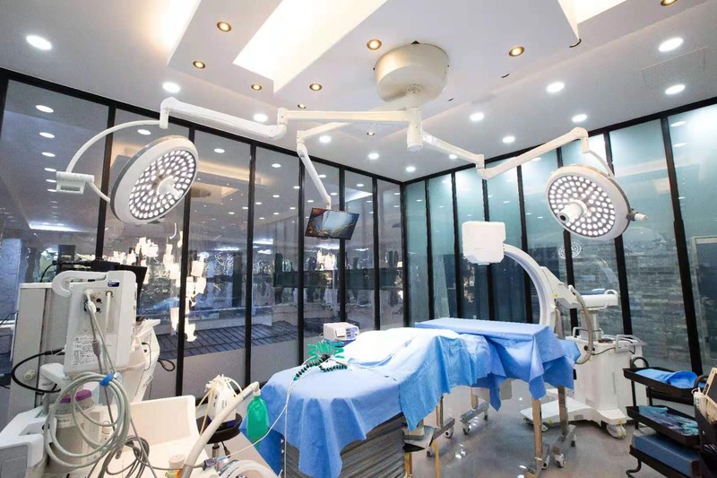 Veterinary Celling Medical Operation Room Theatre Led Ot Shadowless Light Surgical Lamp Good Price Factory