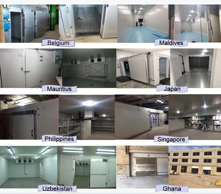 Walk in Industrial Cold Room Refrigeration Storage Freezer Chiller Room