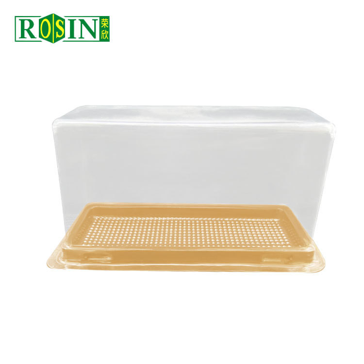 Rectangle Plastic Bakery Packaging Disposable Cheese Cake Container With Lid