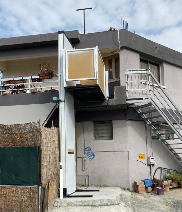 3m Barrier-free Vertical Wheelchair Lift Platform Handicapped Lift for Disabled