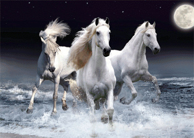 PLASTIC LENTICULAR 2 images 3 images flip effect lenticular printing from left to right or from up to down