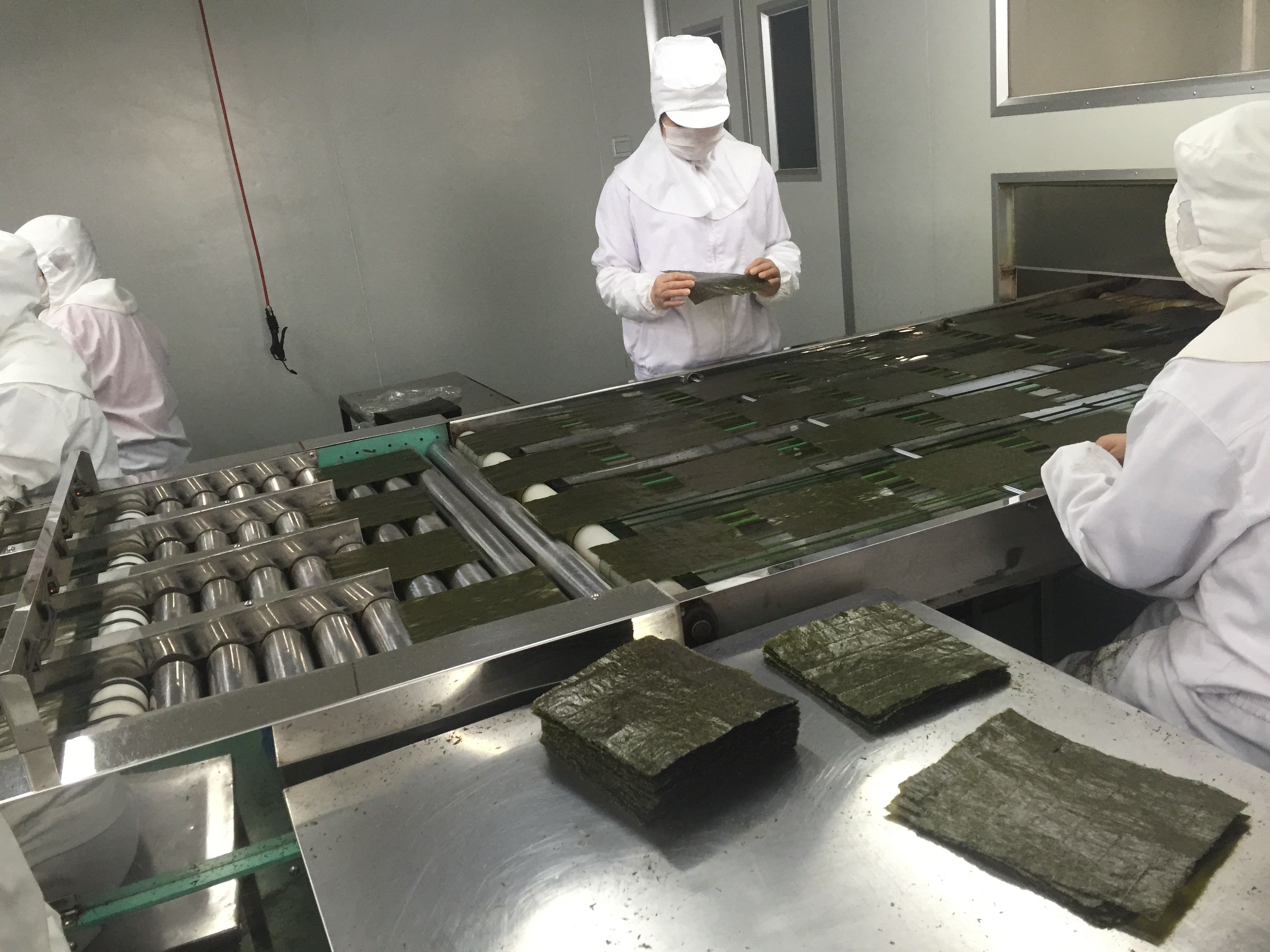 Golden Roasted Yaki Nori Seaweed Crispy 50 Nori Algae Sheets