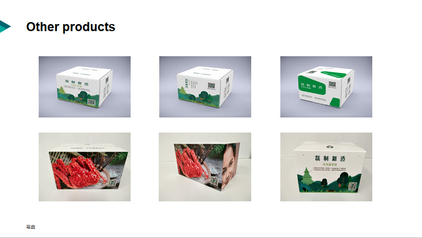 Food Gift Plastic Corrugated Foldable Boxes Anti Rodent Light Duty