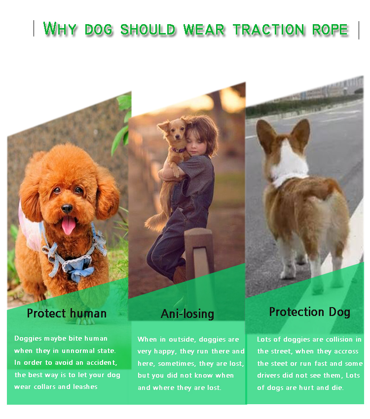 C510Y Wholesale Custom Logo Nature Hemp Webbing Pet Lead Hemp Dog Collar