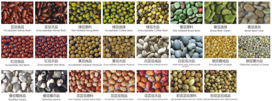 Bean Optical Sorting Machine Intelligent CCD bean color sorter machine