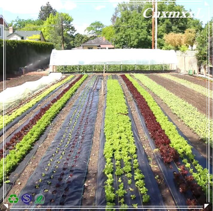 Vinyl 70g Shade 95% Plastic Weed Mat Water Permeable Weed Barrier