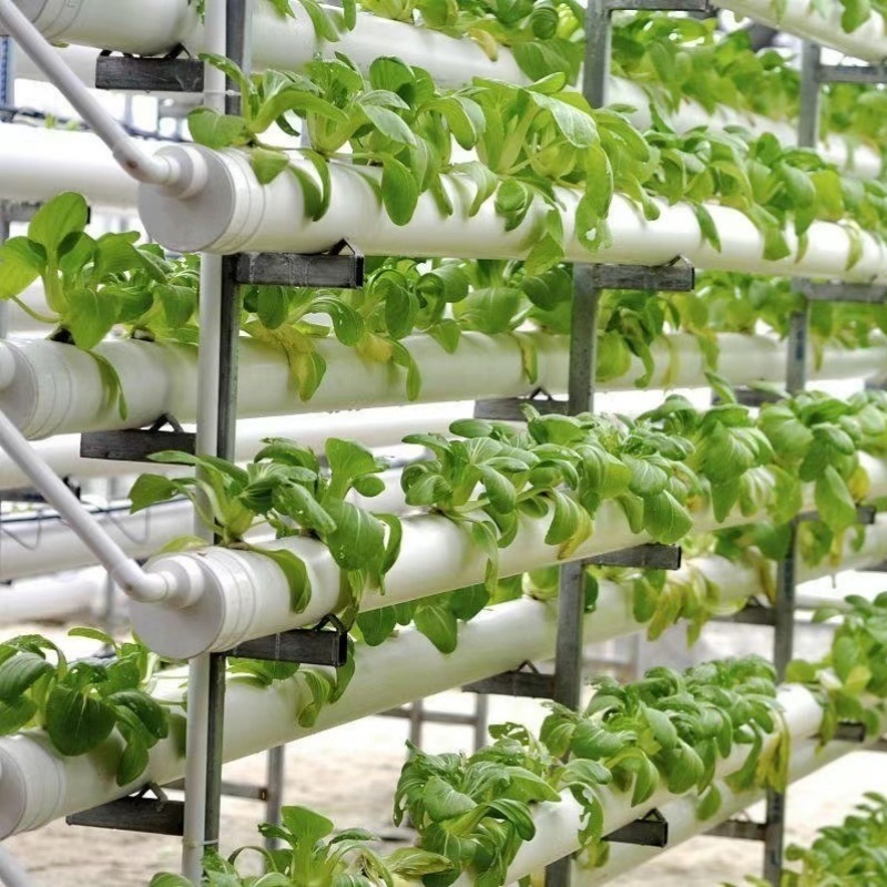Innovative Agriculture Arches Tunnel Greenhouse