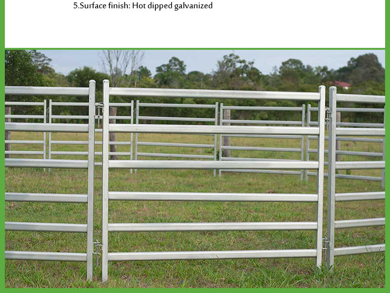 Round Pipe Steel Cattle Fence Panels , 6ftx7ft Galvanized Corral Panels