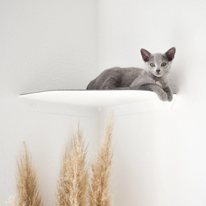 Keep Your Cat Active and Healthy with Yellow Floating Cat Wall Shelves Steel Perches