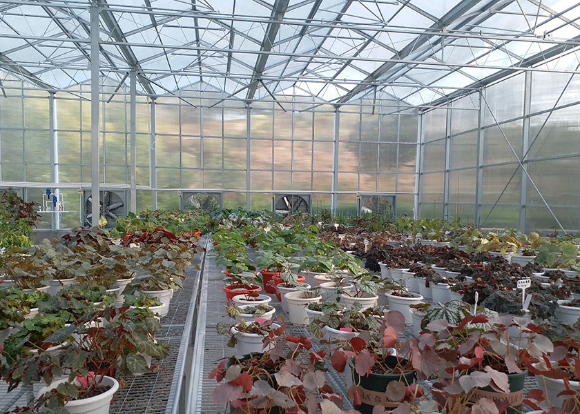 High Transparency & Durable PC Material, Spacious Interior PC Greenhouse - Ideal For Year Round Plant Cultivation