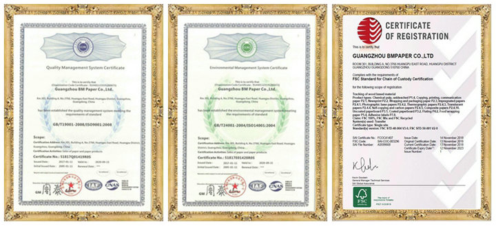 High Bulk Ecofriendly GC1 FBB Ivory Board Paper For Box Packing 250gsm - 300gsm