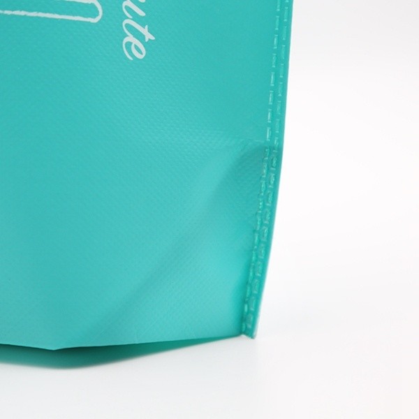 WENZHOU die cut handle non woven carry bag hot sales eco d-cut reusable non woven bag