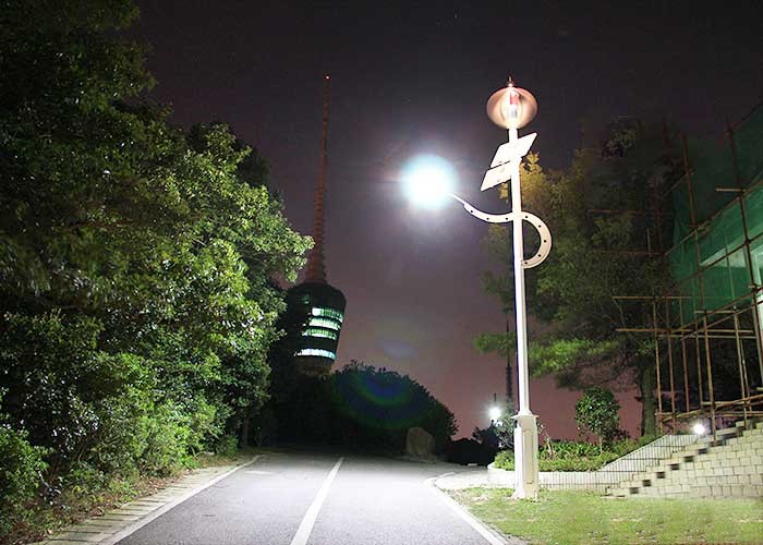 High Efficiency Wind And Solar Hybrid Street Light System Stable Power Supply